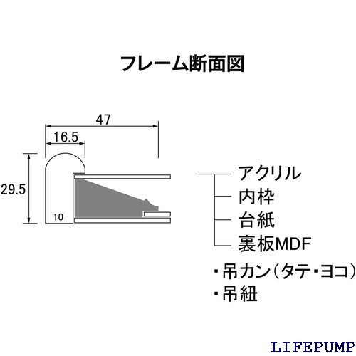 大仙 額縁 色紙額 S-117 姫色紙 八千代 AC K442A9805 12283