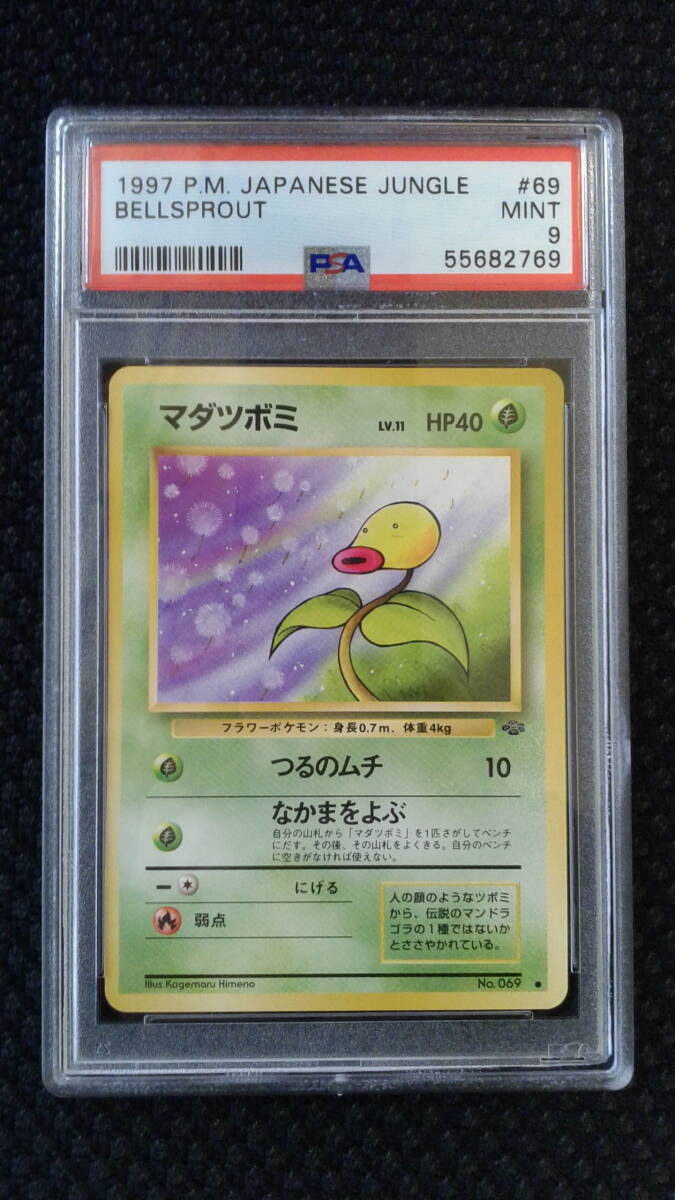 ポケモンカード 1997年 初期旧裏 ジャングル マダツボミ PSA9 ポケモンカード 1997年 初期旧裏 ジャングル マダツボミ PSA9