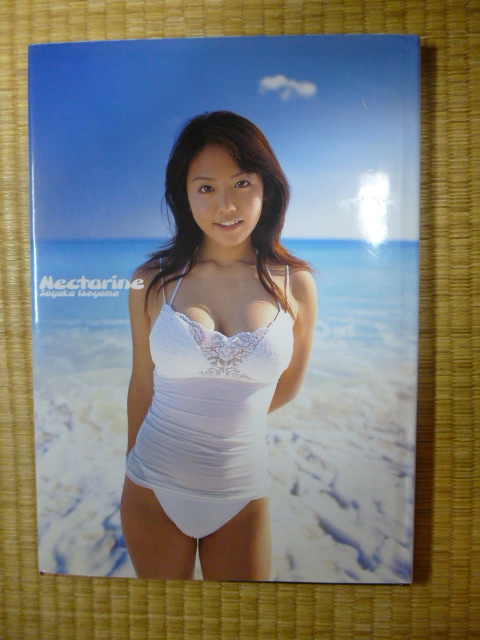 磯山さやか写真集　Nectarine