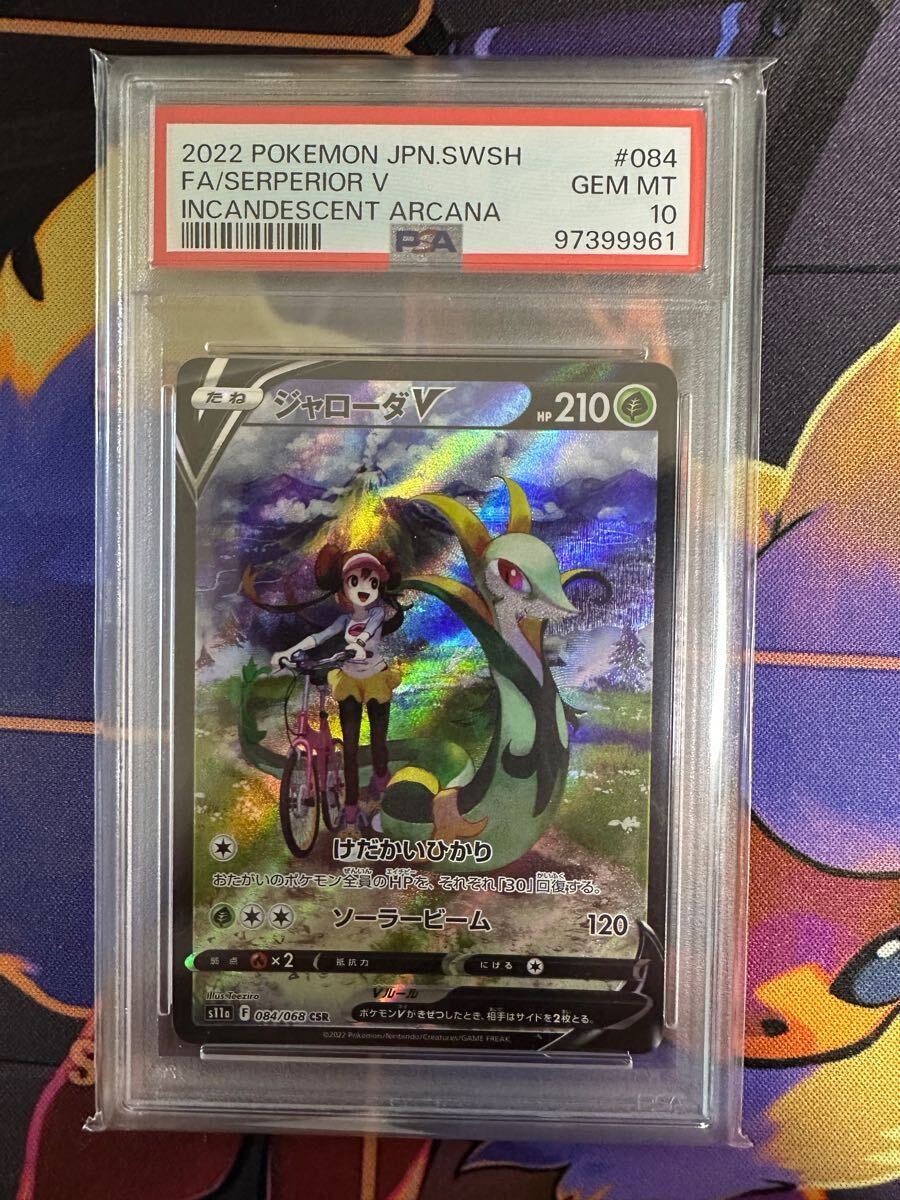 ジャローダV CSR PSA10①