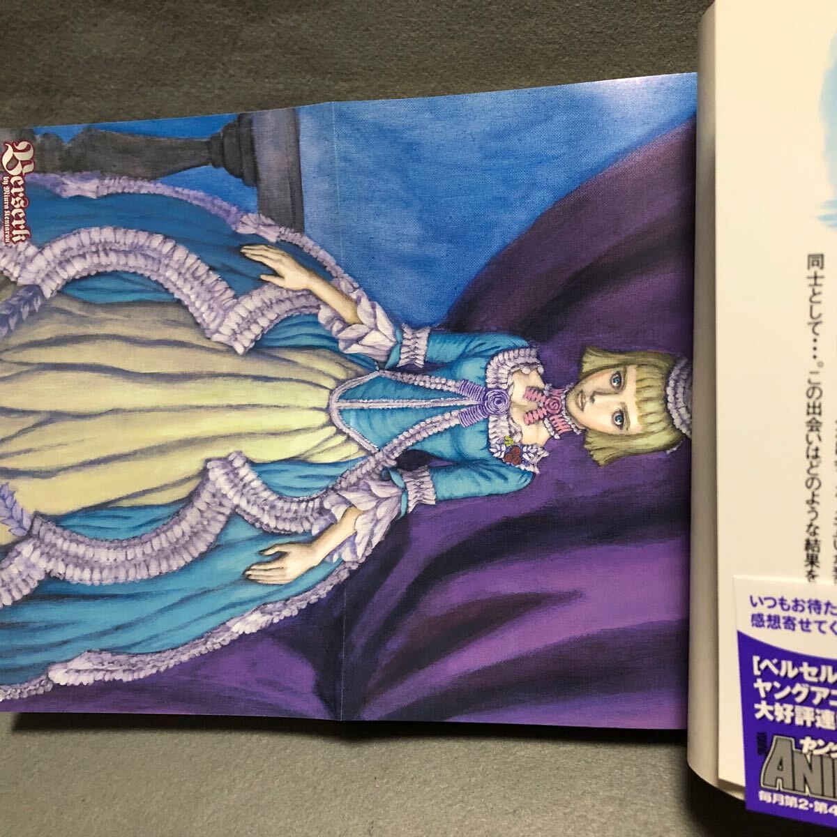 BERSERK ベルセルク 29巻 初版本 三浦建太郎「帯あり 白泉社 BERSERK ベルセルク 29巻 初版本 三浦建太郎「帯あり 白泉社
