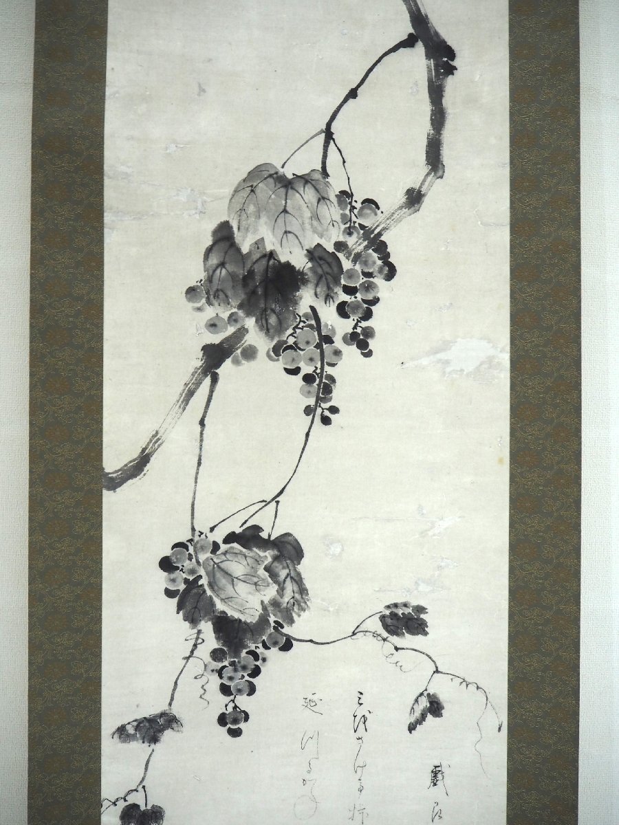 掛軸 紙本 住吉広行 水墨画 葡萄 ぶどう【 住吉家五代当主 絵師 掛軸 紙本 住吉広行 水墨画 葡萄 ぶどう【 住吉家五代当主 絵師