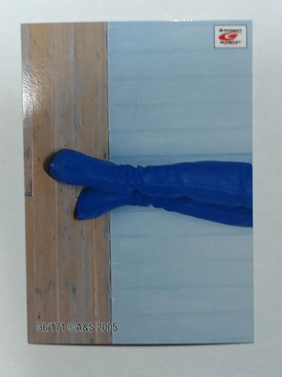 SRQ premium 05...36 super race queen 