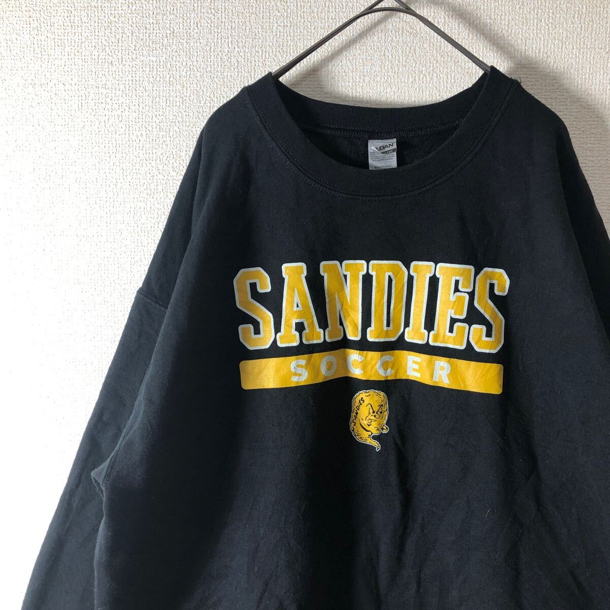 ギルダン　スウェット　クルーネック　カレッジ　チームロゴ　アメリカ古着　L
