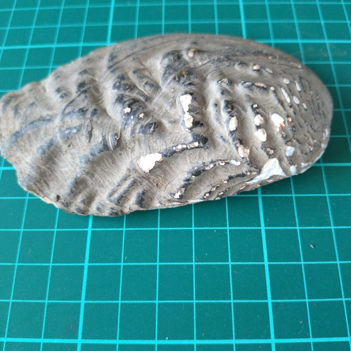 item_image_9