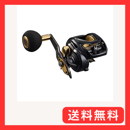 ダイワ(DAIWA) カゴ遠投用両軸リール シーホーク TW 遠投