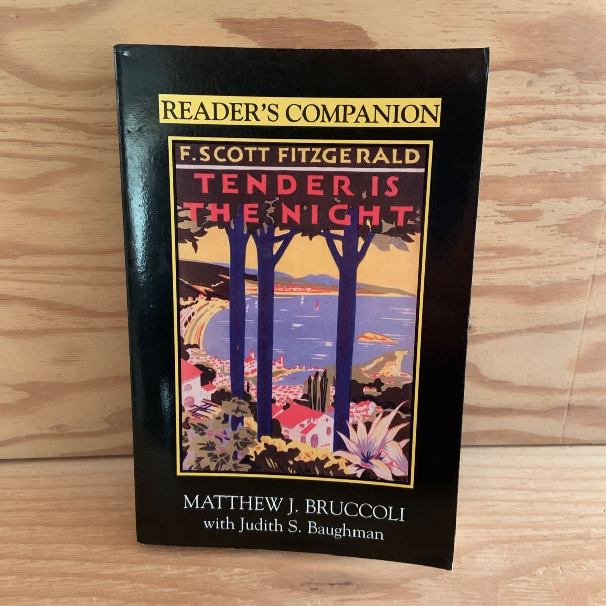 Y3BB2-250114レア［『夜はやさし』読者ガイド F. スコット・フィッツジェラルド TENDER IS THE NIGHT READER'S COMPANION F. SCOTT］