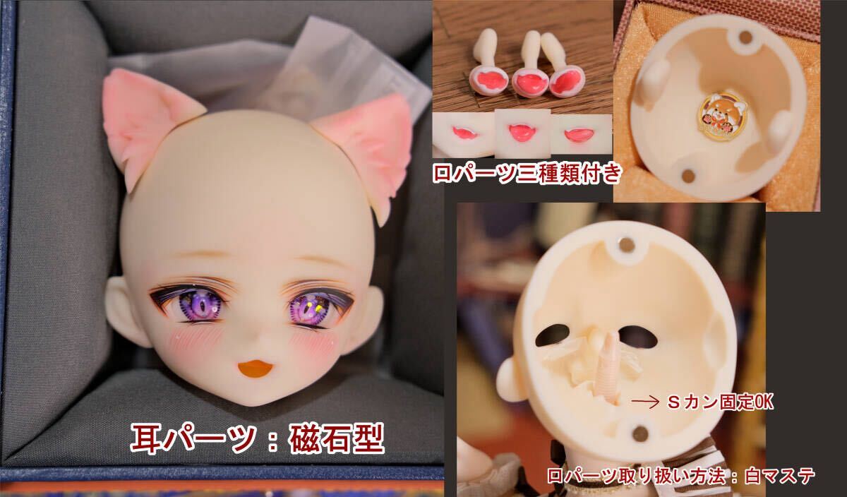 Limor』MDD向け カスタムヘッド+アイ ドルフィードリーム DDH Limor』MDD向け カスタムヘッド+アイ ドルフィードリーム DDH
