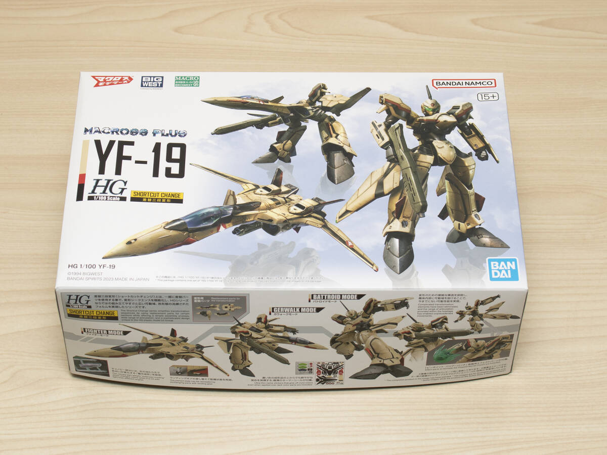 マクロスプラス HG 1/100 YF-19