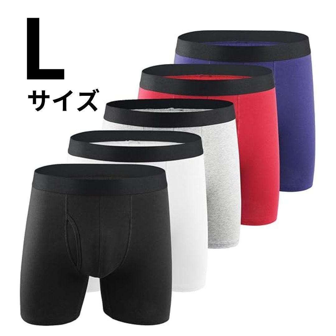ボクサーパンツ Lサイズ メンズ 前開き 5枚セット 吸水速乾 抗菌防臭 下着