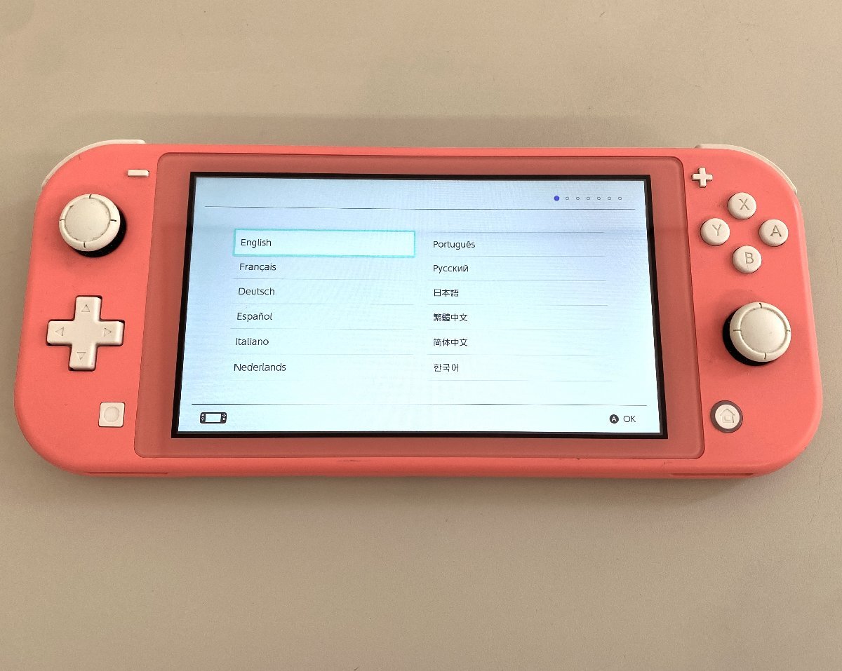 ニンテンドースイッチライト 本体＆ケース＆充電器付き 美品 Nintendo Switch