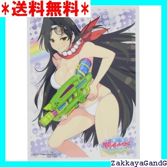 ☆☆☆ エンスカイ キャラクタースリーブ 閃乱カグラ PEAC BEACH SPLASH ジャスミン B EN-762 124