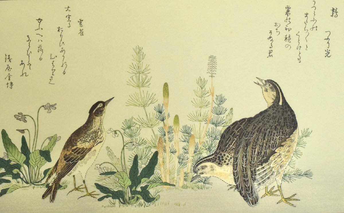 4-31112)15点 画集 喜多川歌麿『絵本百千鳥』全揃い 手摺木版画