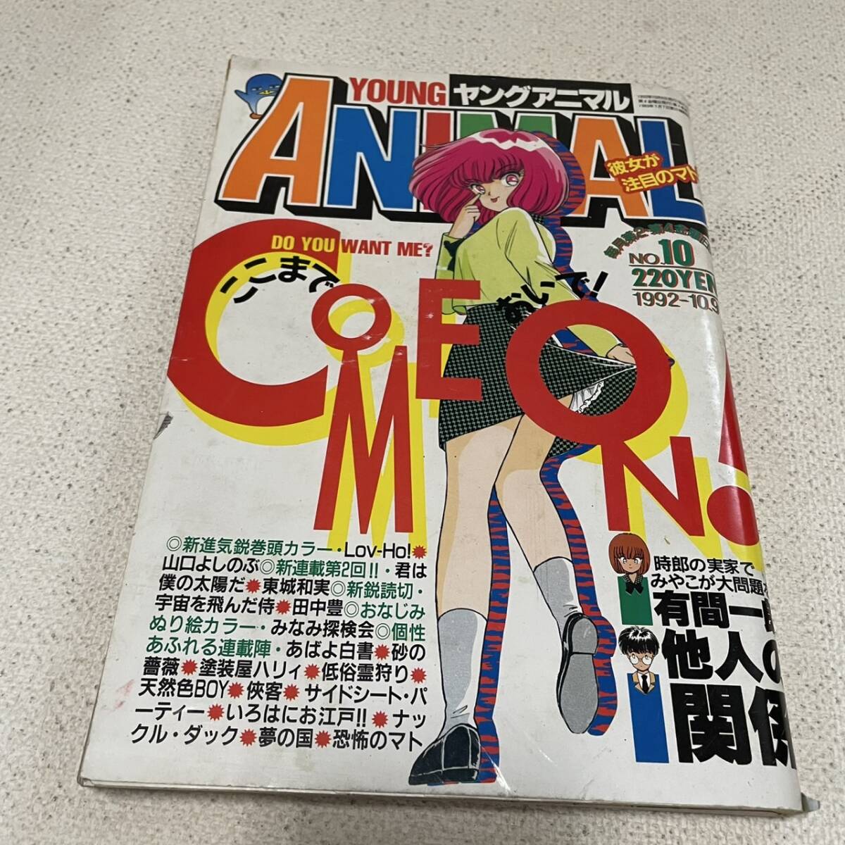 ヤングアニマル 1992年 No.10ベルセルク予告掲載 1995.10.9 雑誌