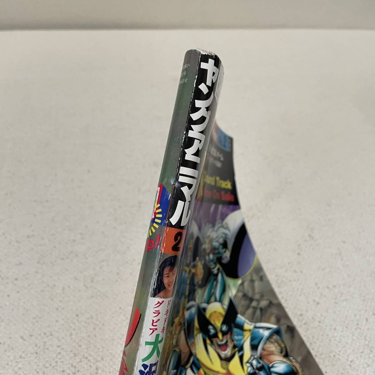 おトク情報がいっぱい! ヤングアニマル 雑誌 1995.1.27 No.2 おトク情報がいっぱい! ヤングアニマル 雑誌 1995.1.27 No.2
