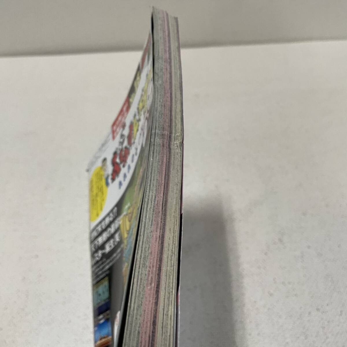 ヤングアニマル 1994年 No.18 ベルセルク43話掲載 1994.9.23 ヤングアニマル 1994年 No.18 ベルセルク43話掲載 1994.9.23