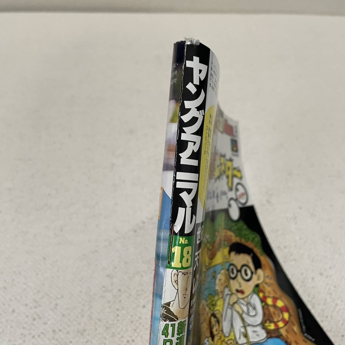 ヤングアニマル 1994年 No.18 ベルセルク43話掲載 1994.9.23 ヤングアニマル 1994年 No.18 ベルセルク43話掲載 1994.9.23