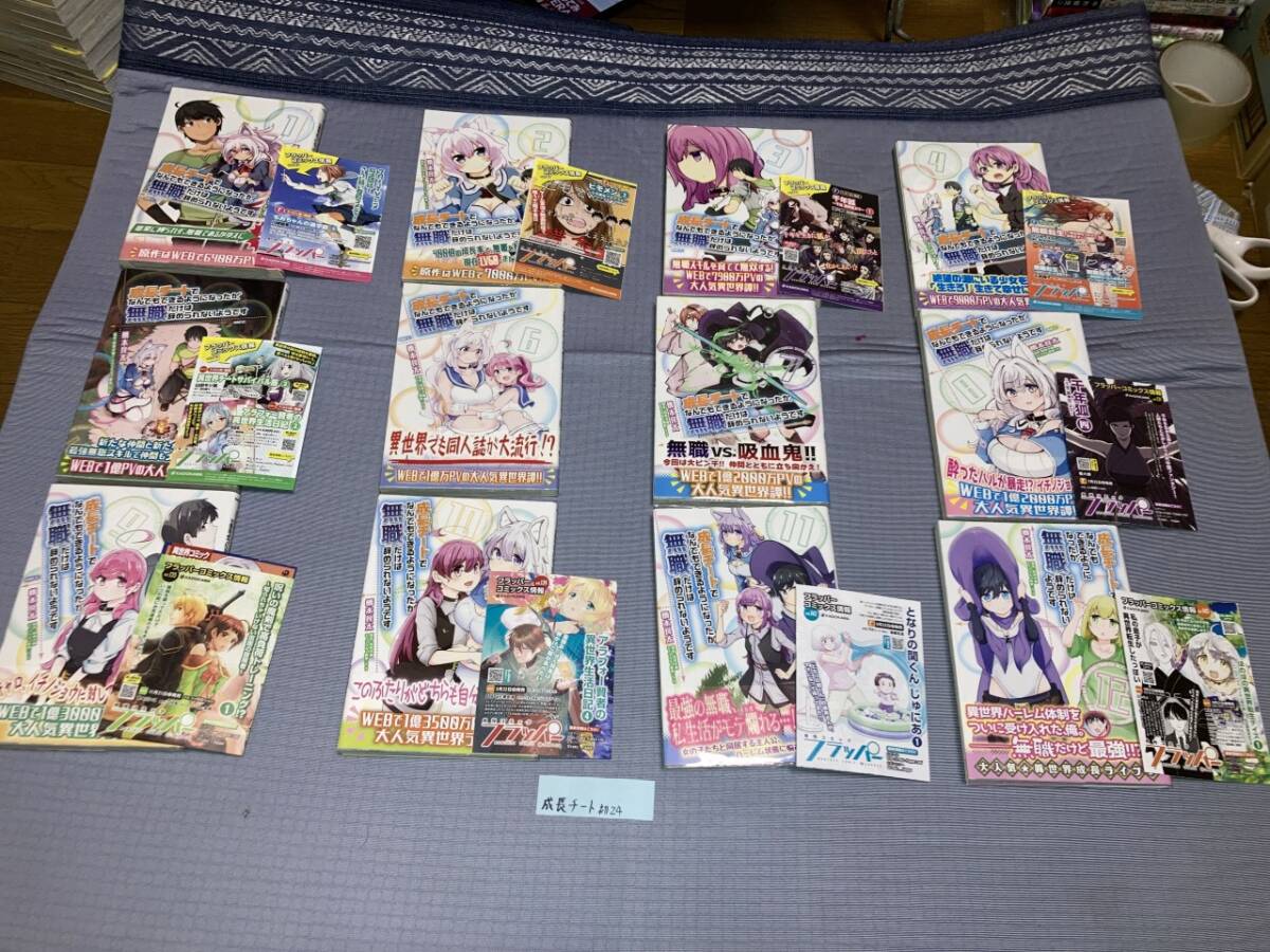 成長チートでなんでもできるようになったが、無職だけはやめられ 成長チートでなんでもできるようになったが、無職だけはやめられ