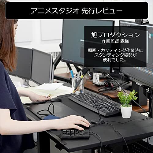 Bauhutte ( bow hyute) SA наклон стол BHD-1200SACT-BK [ настольный ] one размер 