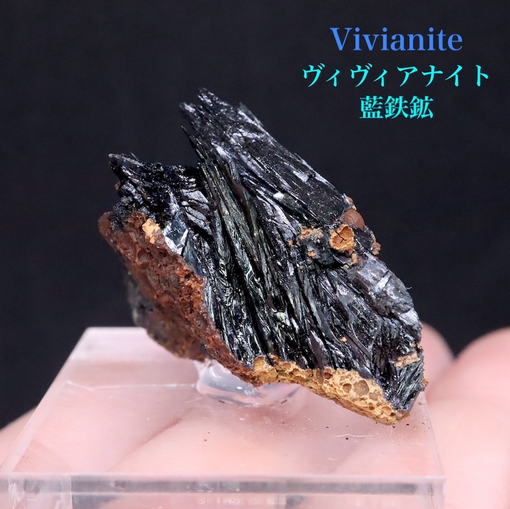 【送料無料】※SALE※ ヴィヴィアナイト 藍鉄鉱 ウクライナ産 原石 VVN001 鉱物 原石 天然石 パワーストーン