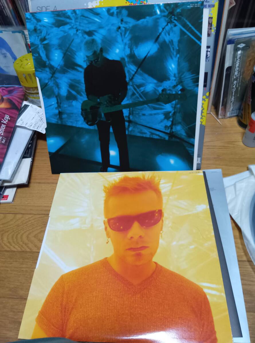 U2 LP POP