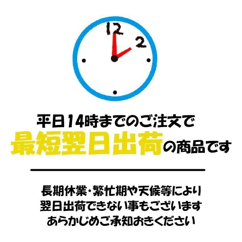 リ リード工業(yè)/LEADバイク用ロック U字ロック　シャックルロック LU-209A