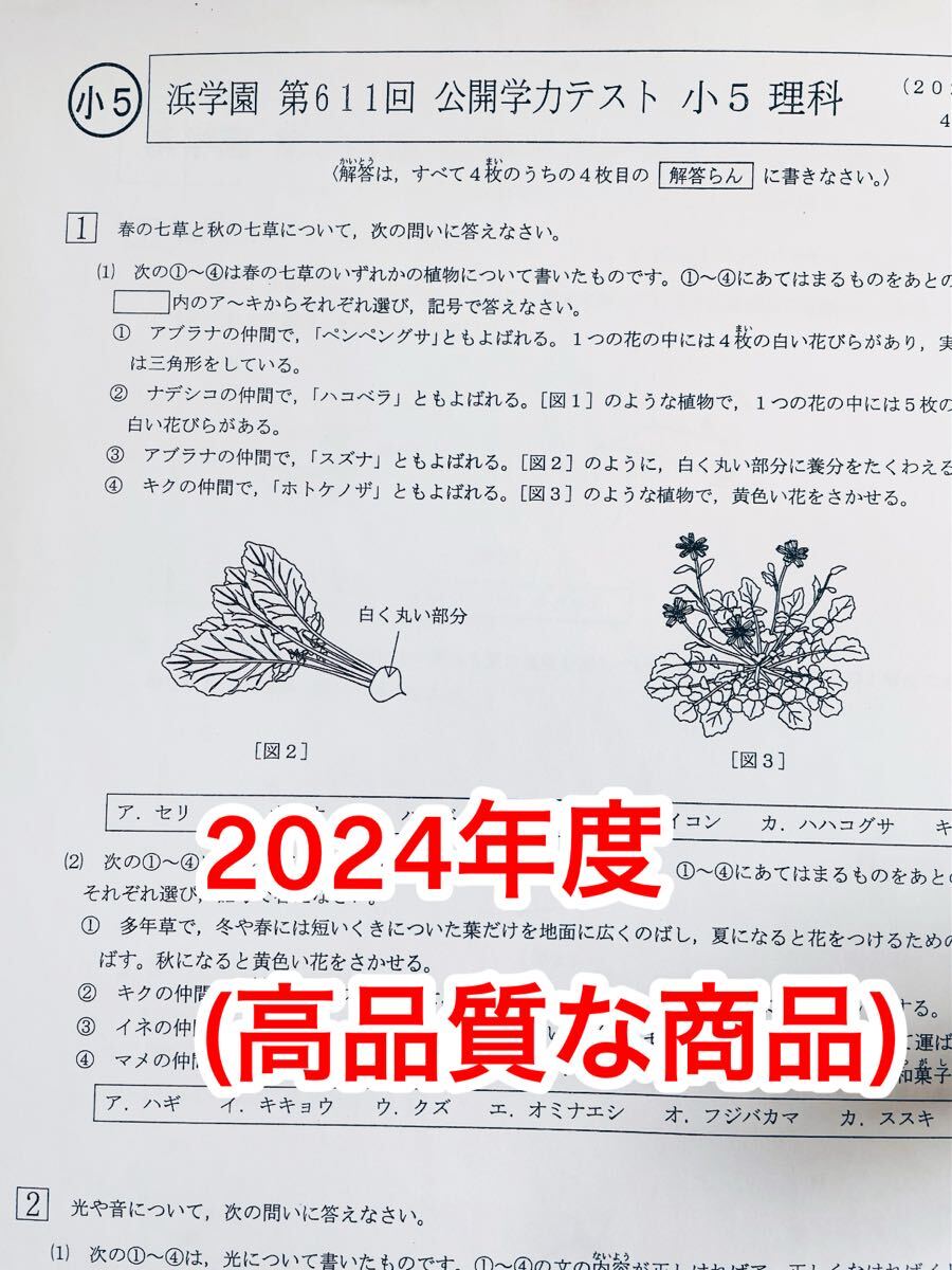 浜学園小5 最新版2024年 公開学力テスト 4科目 - 語学・辞書 浜学園小5 最新版2024年 公開学力テスト 4科目 - 語学・辞書