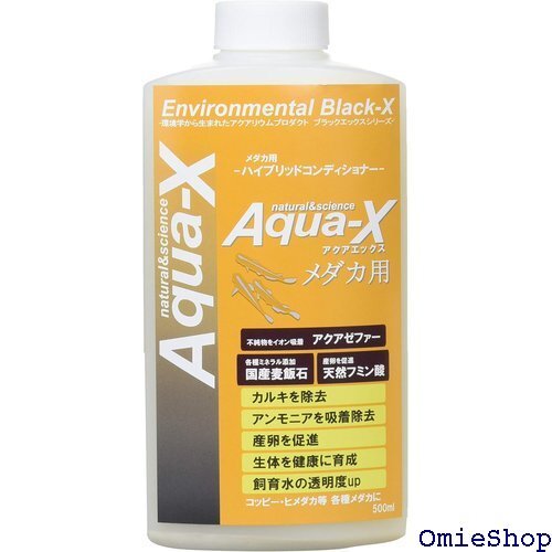 ビーブラスト B-blast 4313