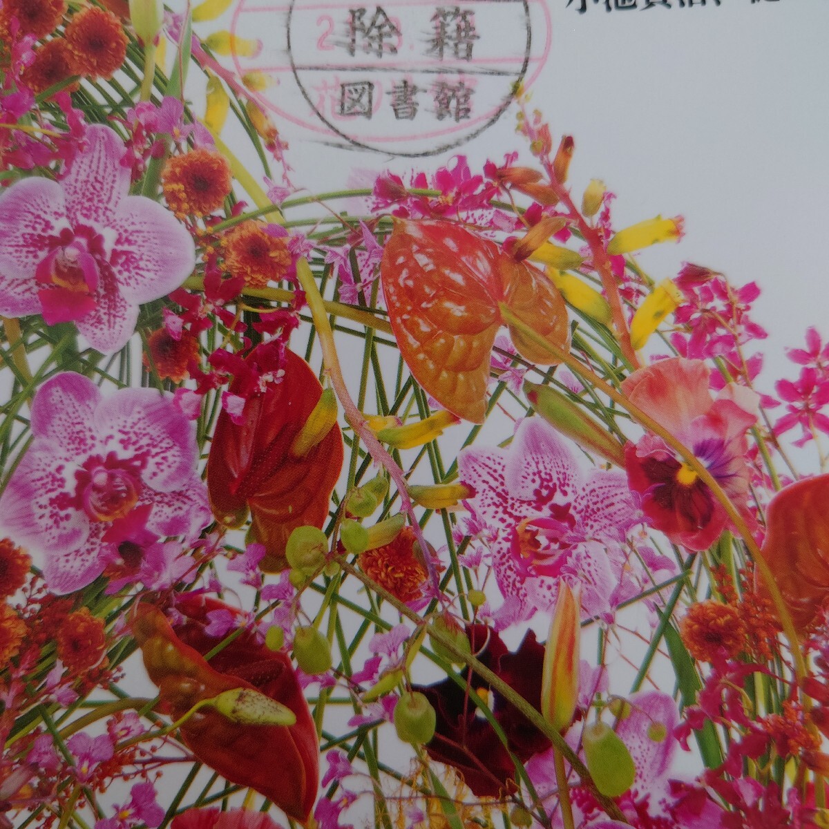 【図書館除籍本】音楽現代 2021年4月号 (芸術現代社)_画像2