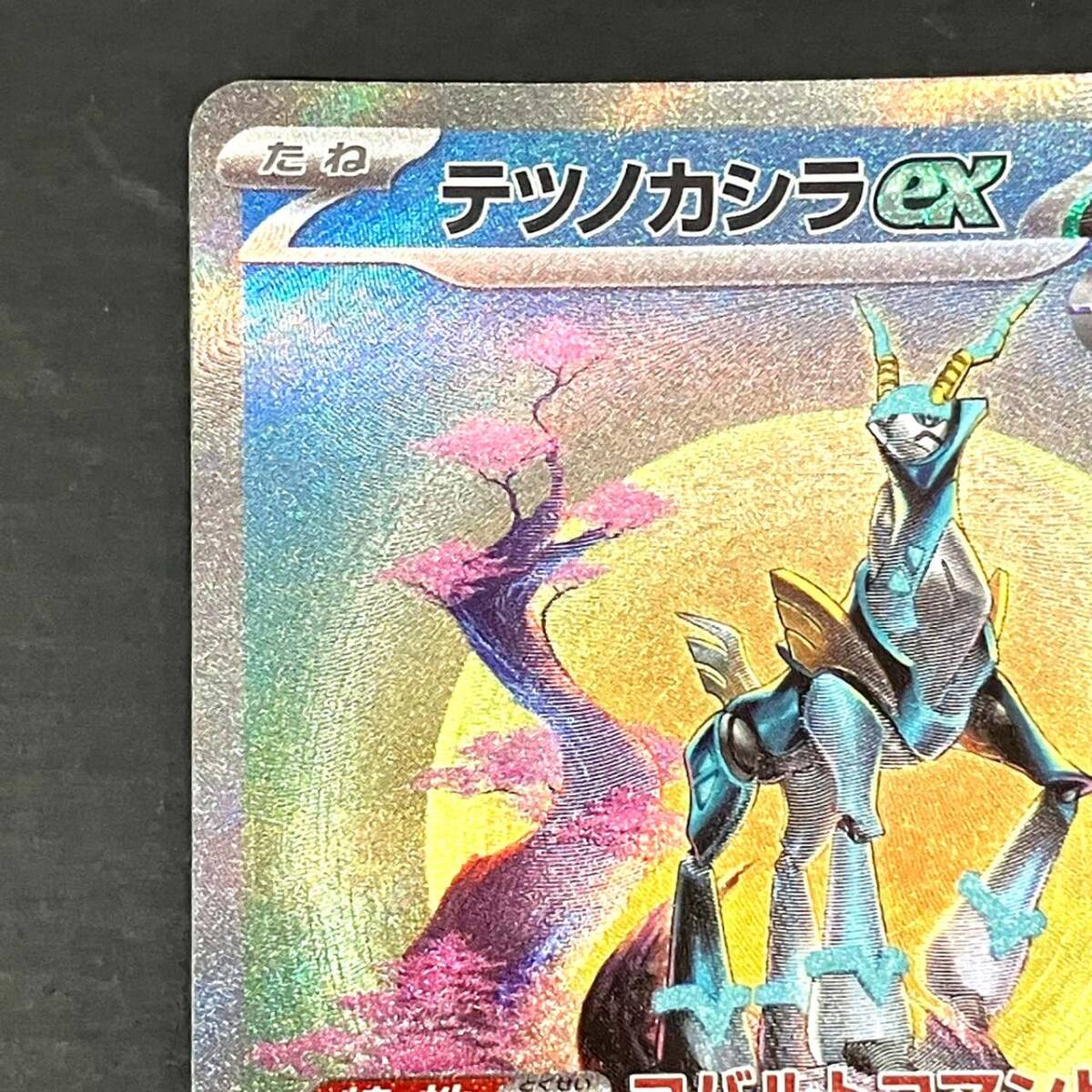 01w5643 ポケモンカードゲーム ポケカ テツノカシラex【SAR 01w5643 ポケモンカードゲーム ポケカ テツノカシラex【SAR
