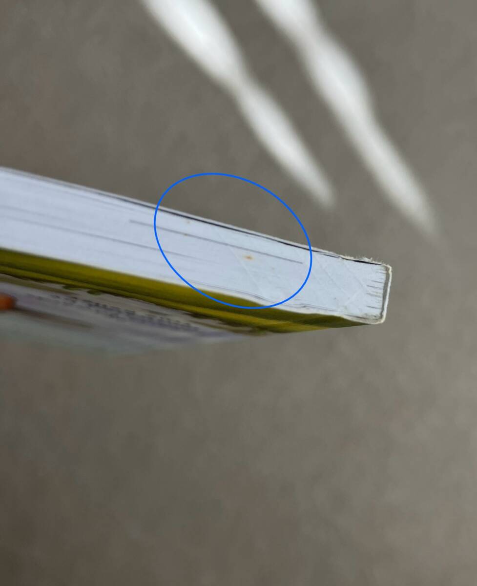 ⑧洋書 伝記 歴史 フランクリン リンカーン ワシントン Who Was/What wasシリーズ 3冊セット_画像6