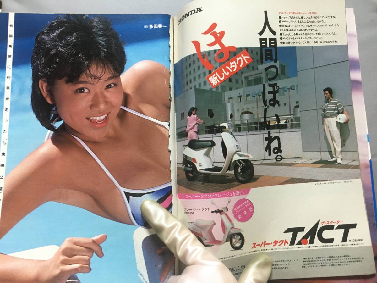 超ジャンク】週刊プレイボーイ 1984年 昭和59年10月9日 NO.42 超ジャンク】週刊プレイボーイ 1984年 昭和59年10月9日 NO.42