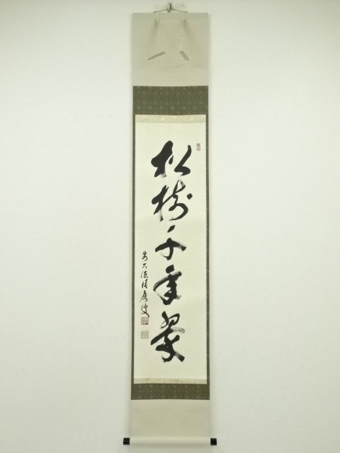 ys7184880; 宗sou 前大徳　福本積應筆　「松樹千年翠」一行書　肉筆紙本掛軸（共箱）
