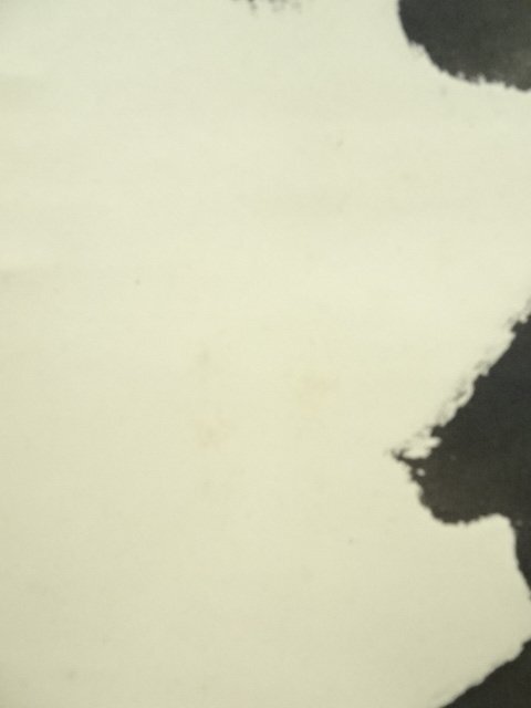 ys7249229; 宗sou 表千家 吉水宗白(水月庵)筆 「松無古今色」一行書 肉筆紙本掛軸(共箱)【道】_画像7