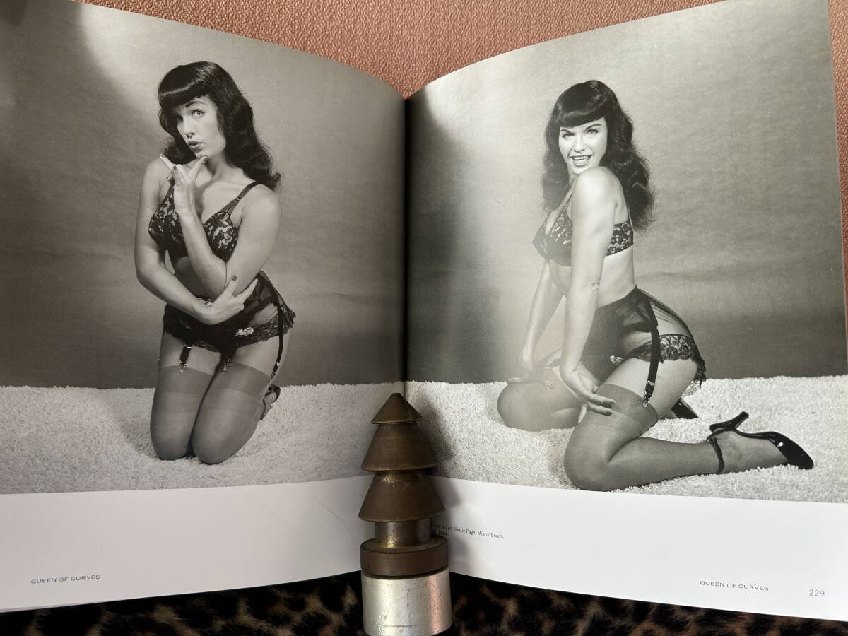 レア 洋書 写真集 Bettie Page ベティペイジ Queen of Curves ピンナップガール ボンデージ ロカビリー ハードカバー アート カルチャー