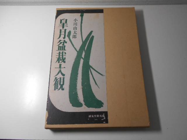 皐月盆栽大観　小川由太郎　誠文堂新光社　◆盆栽 写真集