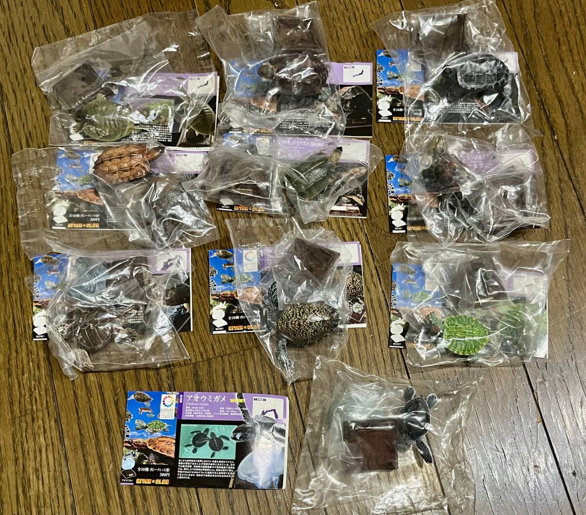 ネイチャーテクニカラー 日本のカメ 全10種 フルコンプ シークレット アオウミガメ