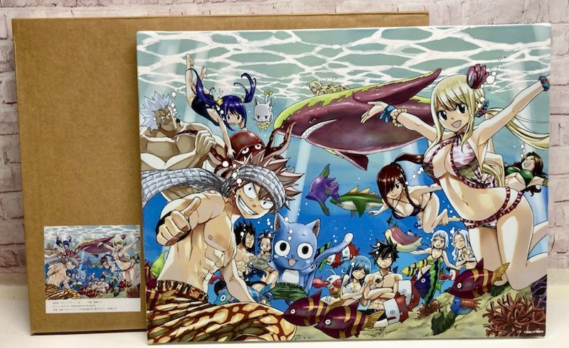 FAIRY TAIL フェアリーテイル F6 キャンバスアート 真島ヒロ FAIRY TAIL フェアリーテイル F6 キャンバスアート 真島ヒロ