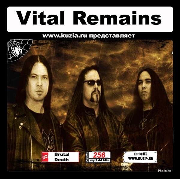 VITAL REMAINS 大全集 MP3CD 1P◇