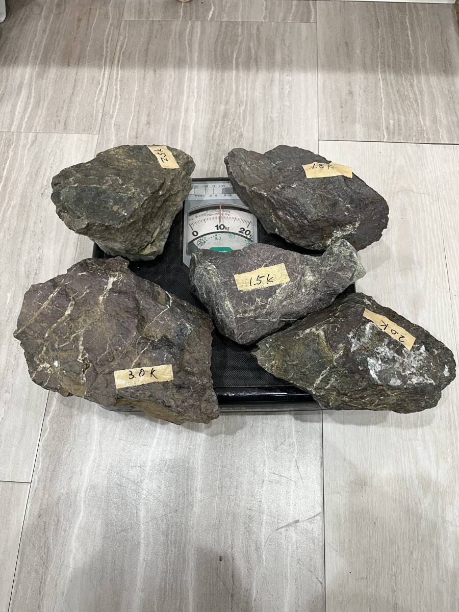 ADA 万天石 10.0㎏セット 送料無料 北海道、沖縄離島除く。 魚・水草 ADA 万天石 10.0㎏セット 送料無料 北海道、沖縄離島除く。 魚・水草