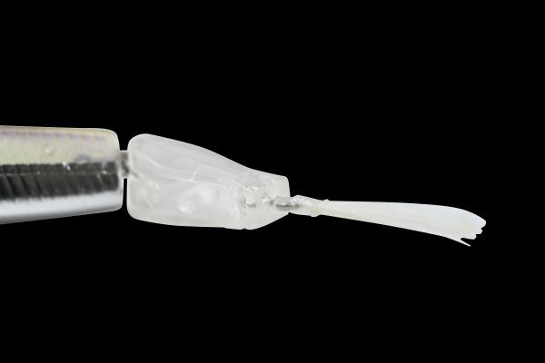 ディスタイル★イチリン70F★ユイピーワカサギ#DHC069_画像4