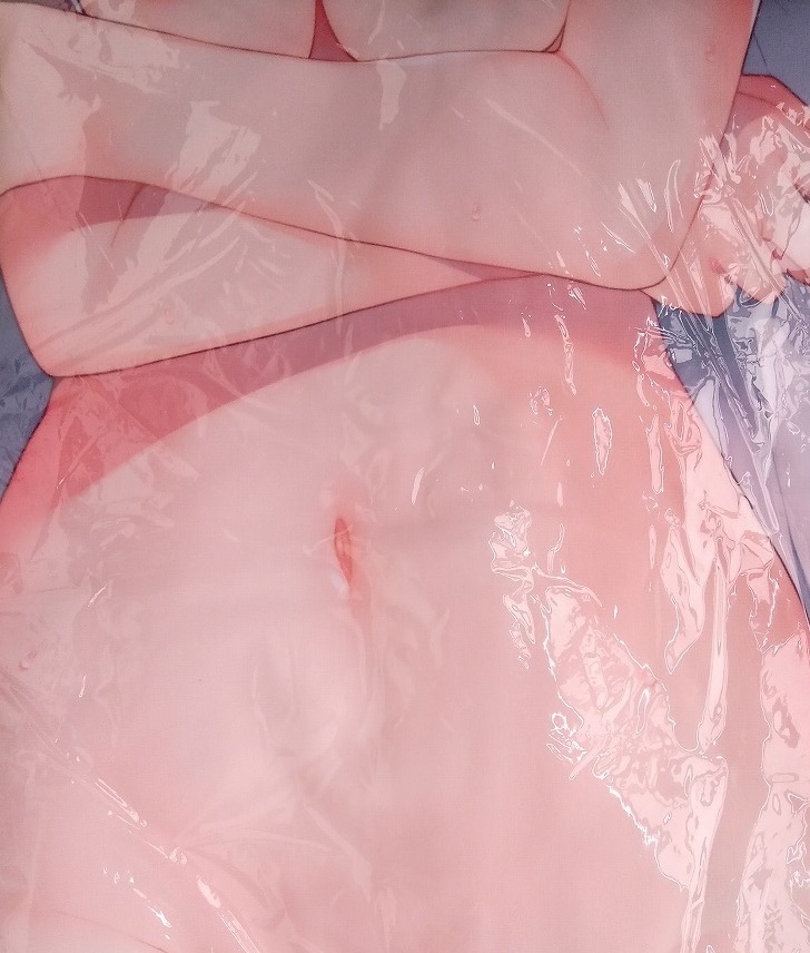  передний wing .... шкаф Kakamigahara иметь . Dakimakura покрытие /Frontwing