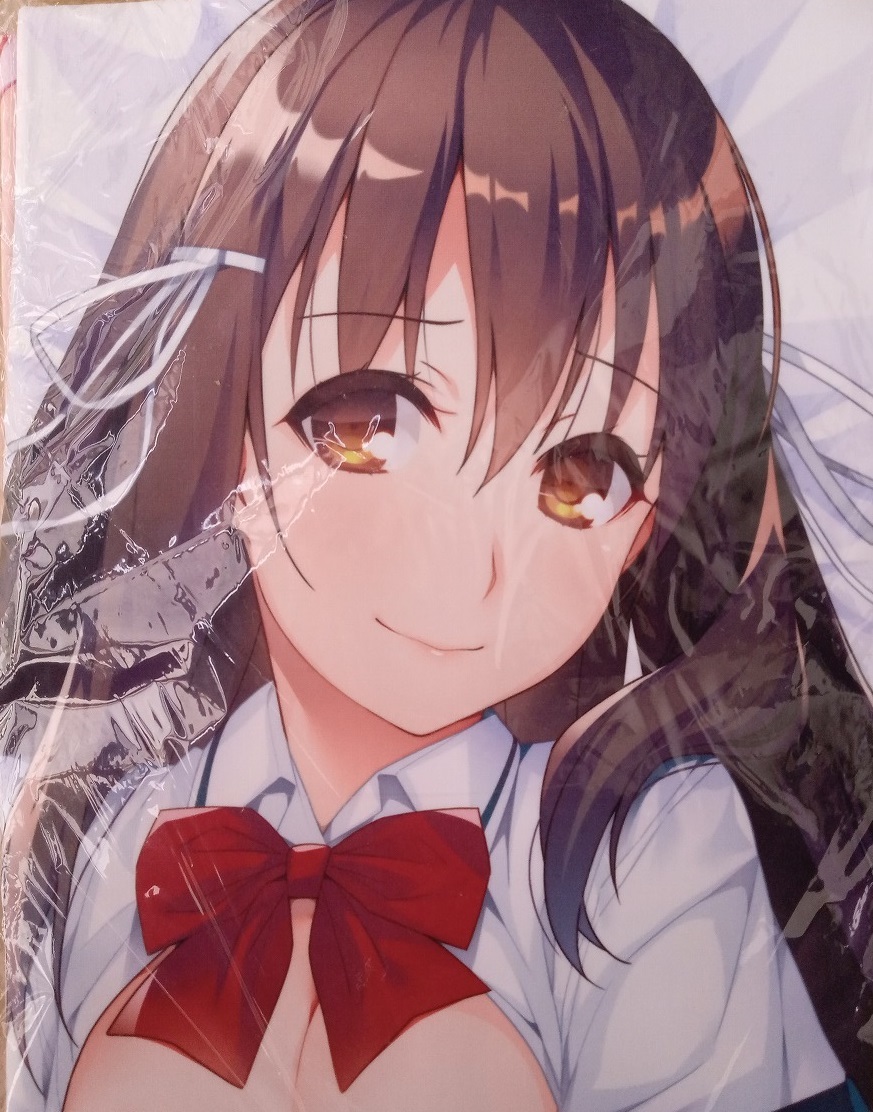  передний wing .... шкаф Kakamigahara иметь . Dakimakura покрытие /Frontwing