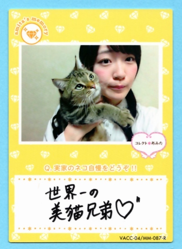  передний остров . прекрасный [ VACC VOL.4 collect ...] редкая карта (MM-087-R) * быстрое решение 