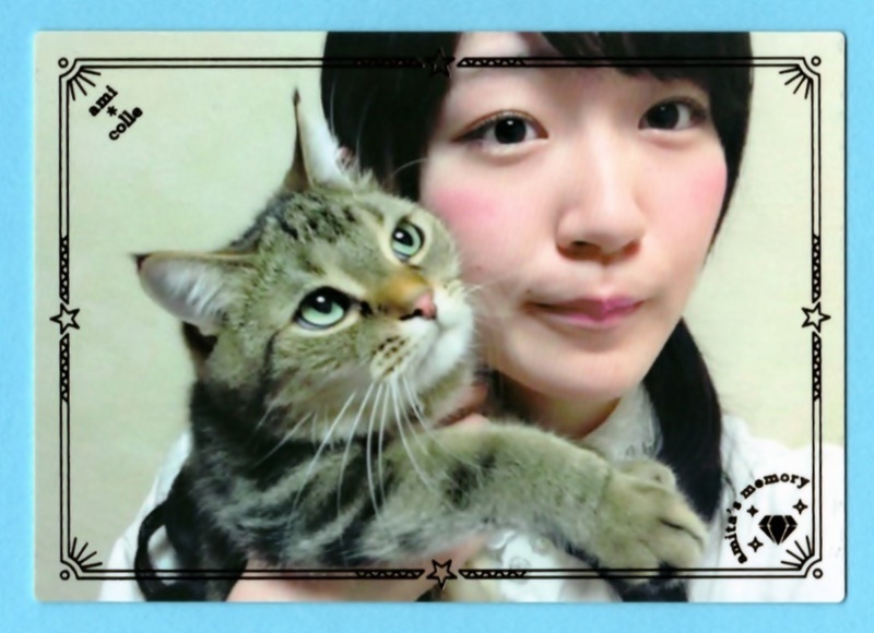  передний остров . прекрасный [ VACC VOL.4 collect ...] редкая карта (MM-087-R) * быстрое решение 