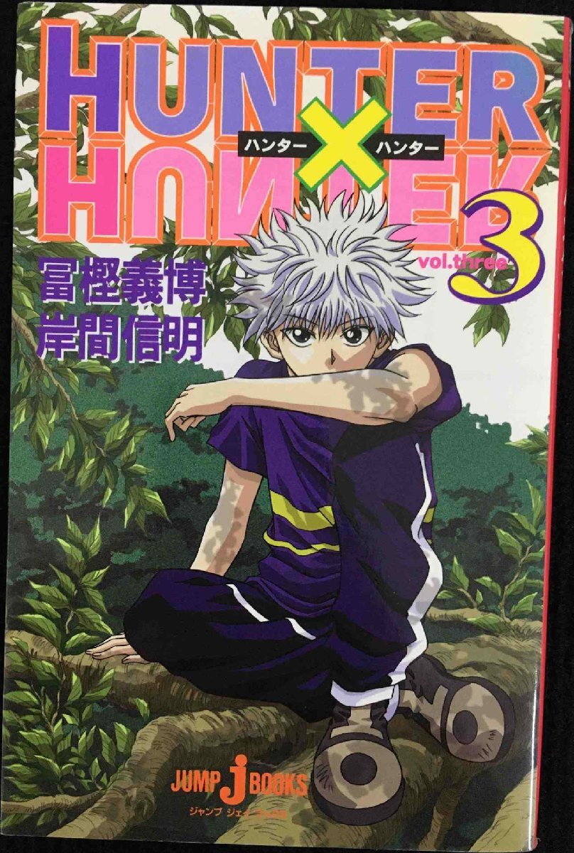 一般 HUNTERHUNTER 3 (JUMP jBOOKS)