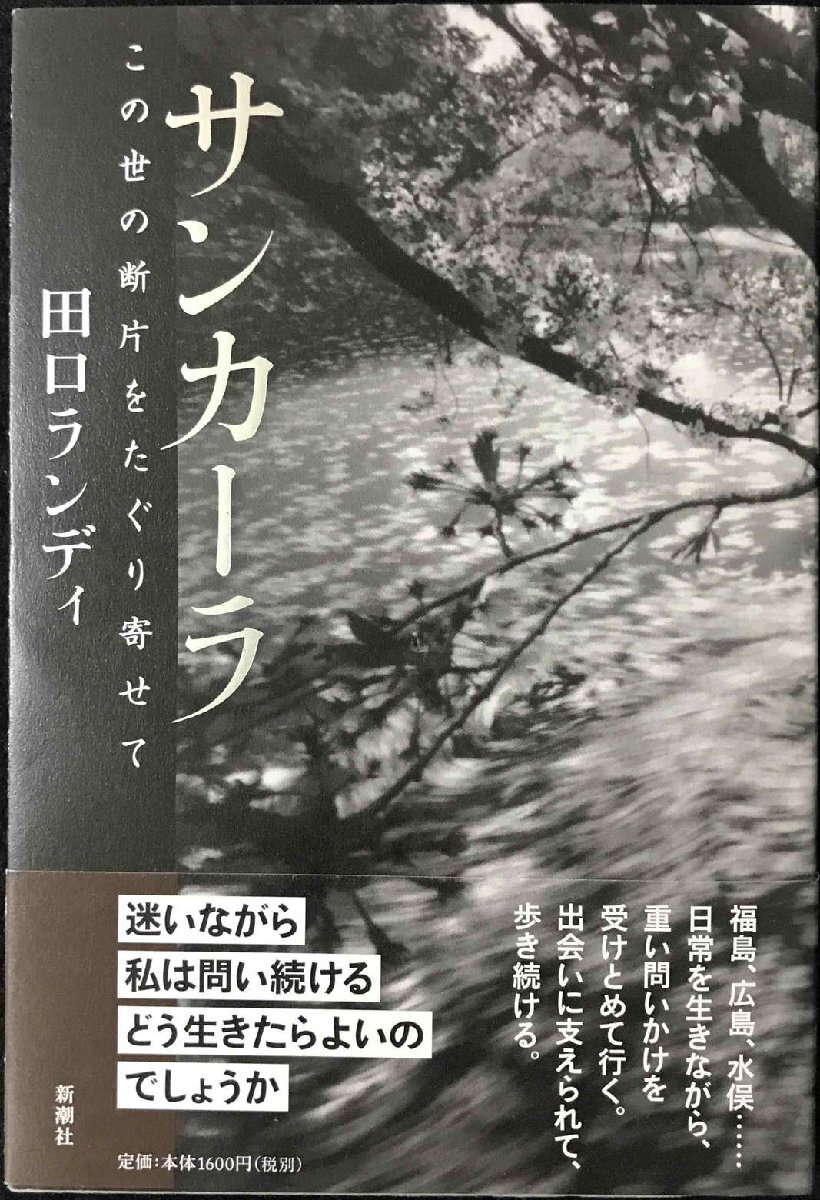 サンカーラ: この世の斷片をたぐり寄せて