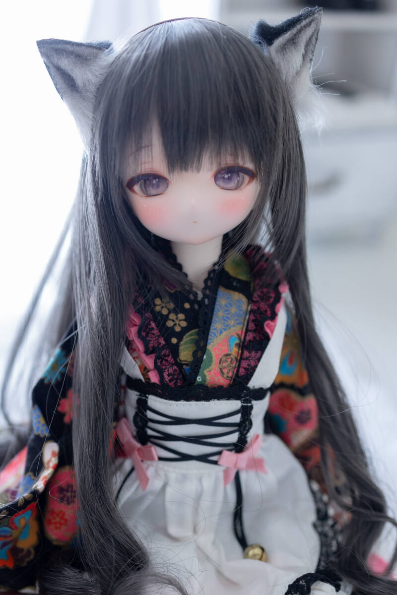DDH-01(SW)カスタムヘッド+アイ2種&ウィッグ【FW】(パーツ DDH-01(SW)カスタムヘッド+アイ2種&ウィッグ【FW】(パーツ