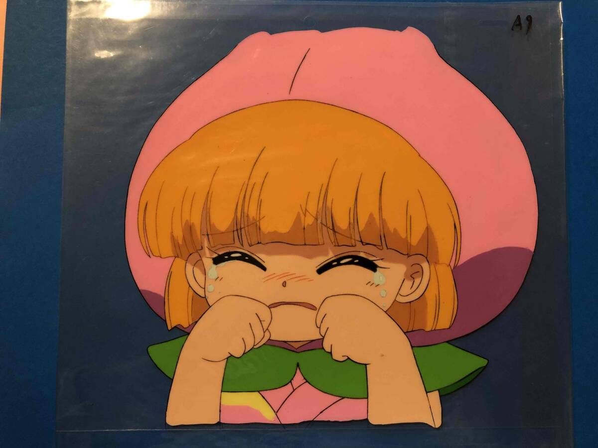 赤ずきんチャチャ セル畫 アニメ