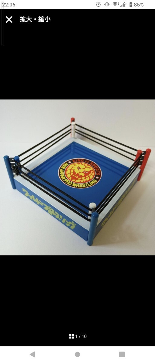 ワールドプロレスリング プロ格 リング